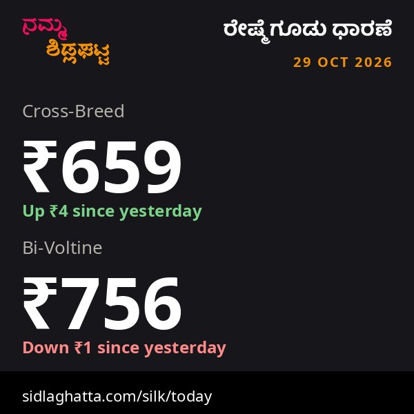 Sidlaghatta daily silk cocoon rates