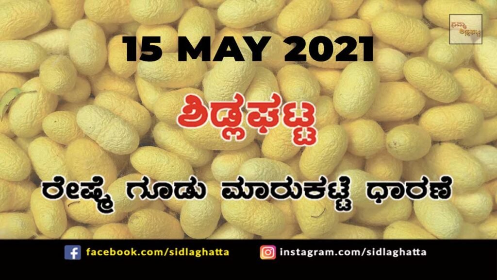 Silk cocoon Sidlaghatta Market May 15 2021