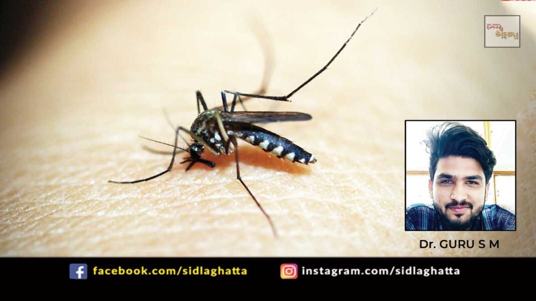 Sidlaghatta Monsoon Mosquito Malaria Dengue Brain Fever