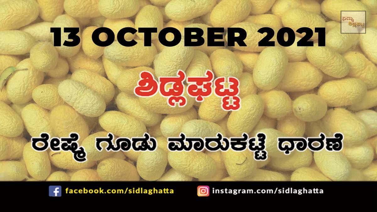 Chikkaballapur District Sidlaghatta silk Cocoon Market Daily Rate