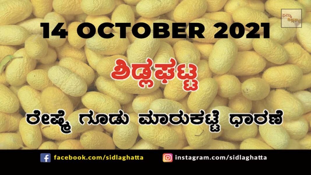 Chikkaballapur District Sidlaghatta silk Cocoon Market Daily Rate