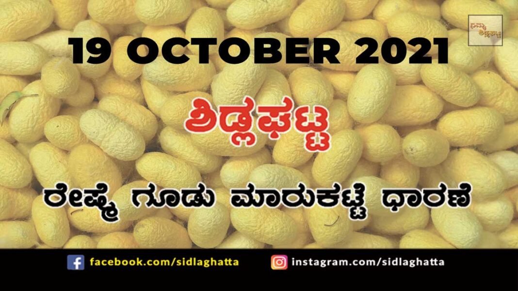 Sidlaghatta Chikkaballapur District silk Cocoon Market Daily Rate