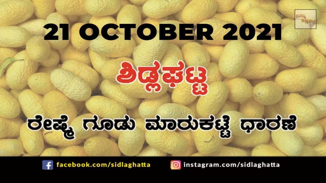 Sidlaghatta Chikkaballapur District silk Cocoon Market Daily Rate