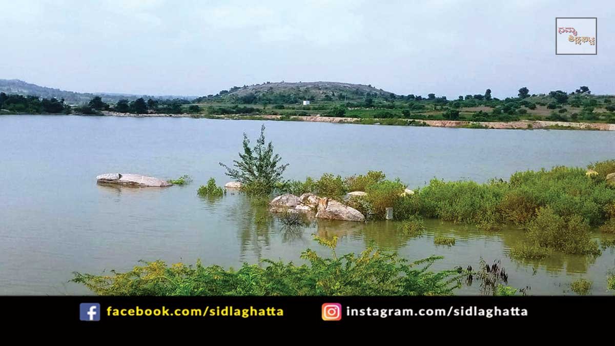 Sidlaghatta Taluk Ramasamudra Lake Water Full