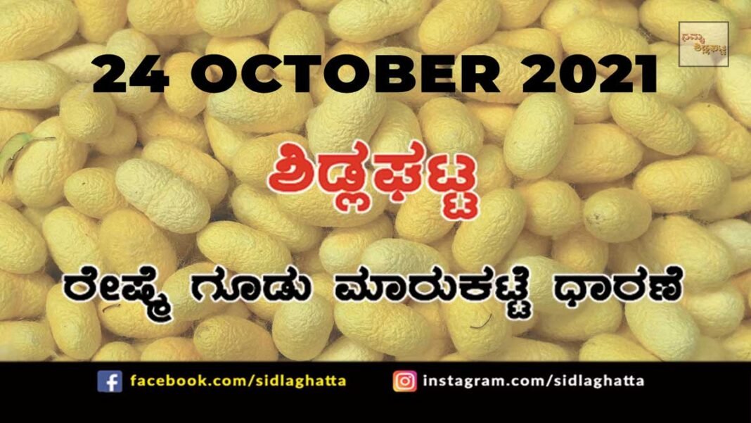 Sidlaghatta Chikkaballapur District silk Cocoon Market Daily Rate