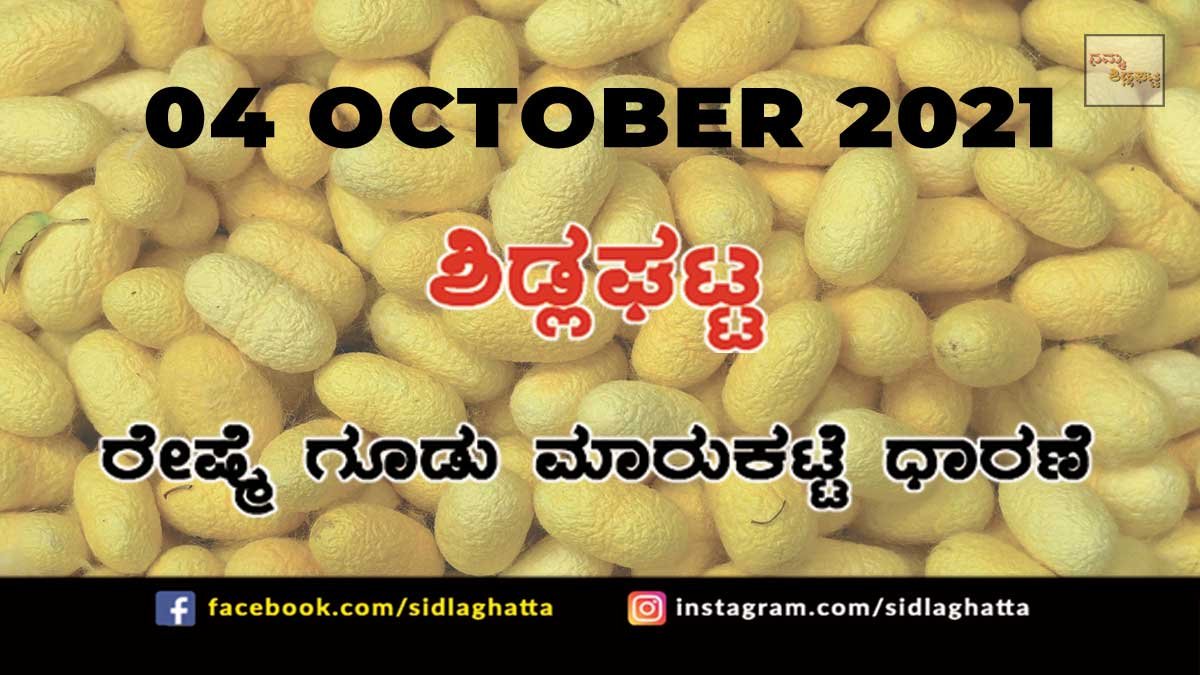 Chikkaballapur District Sidlaghatta silk Cocoon Market Daily Rate