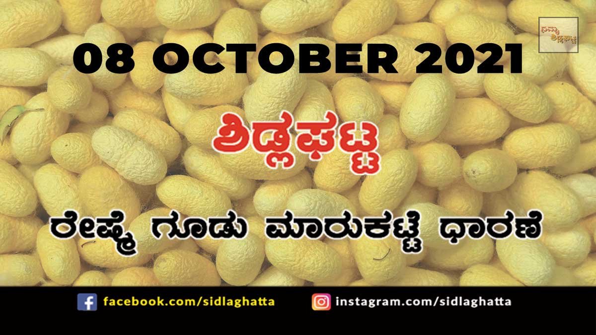 Chikkaballapur District Sidlaghatta silk Cocoon Market Daily Rate