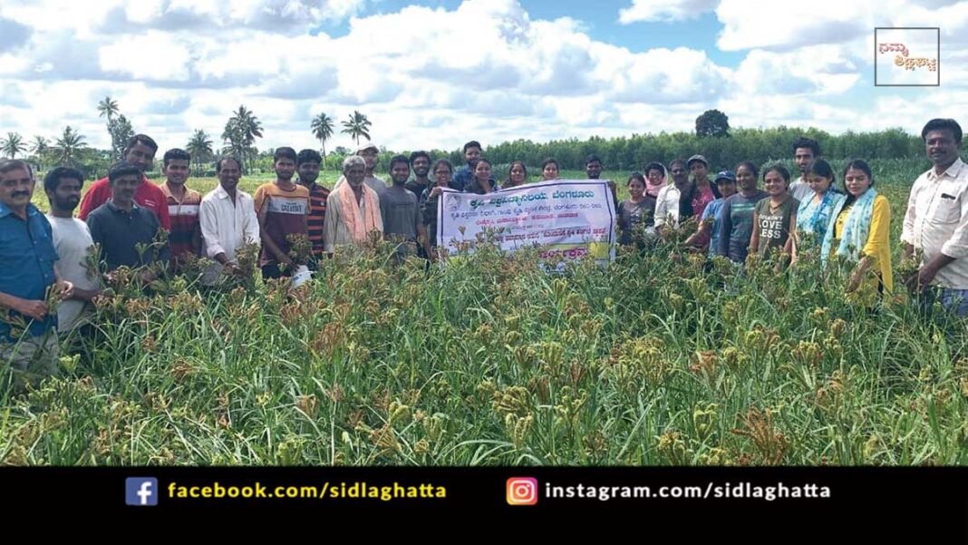 Sidlaghatta Appegowdanahalli ML365 Ragi Strain Agriculture workshop