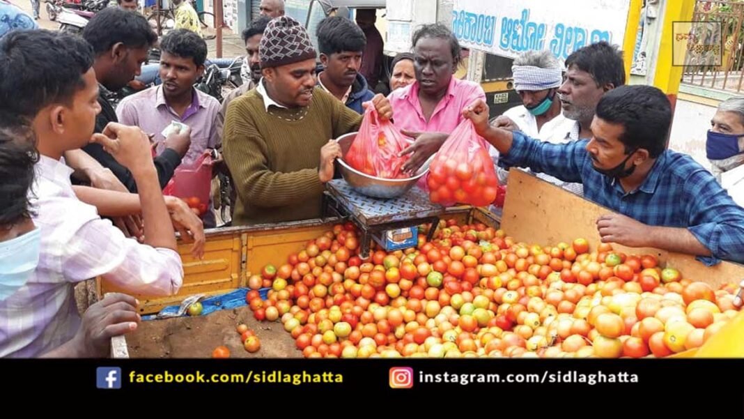 Sidlaghatta High Tomato Price