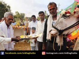 Kothanur Sidlaghatta Makara Sankranti Celebration