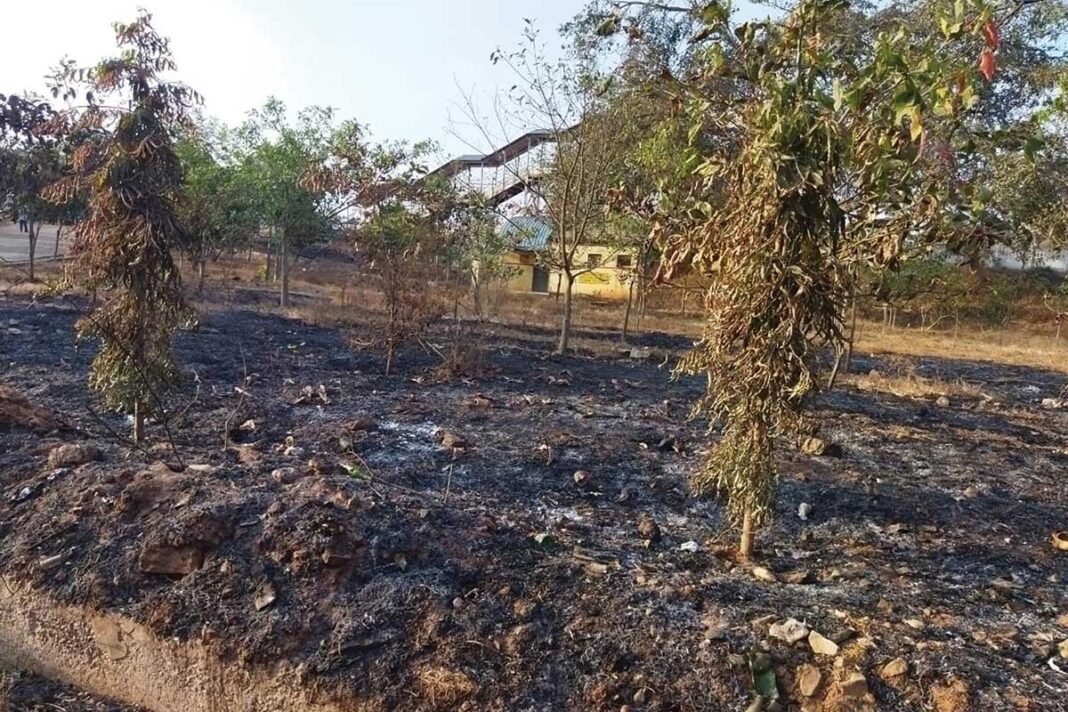 Sidlaghatta Railway Station Plants Fire
