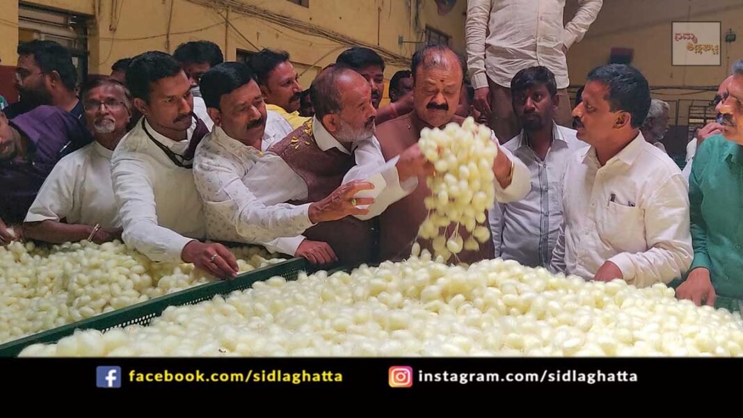 Sidlaghatta Government Silk Cocoon Market