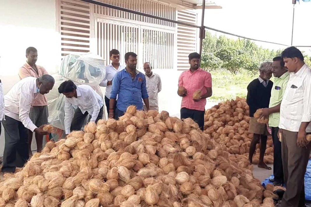 Kalanayakanahalli Coconut Market