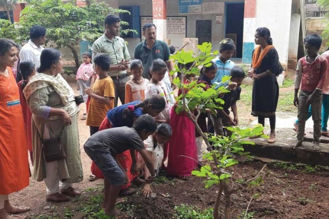 Sidlaghatta Environment Association Of Bangalore Government School Garden Development