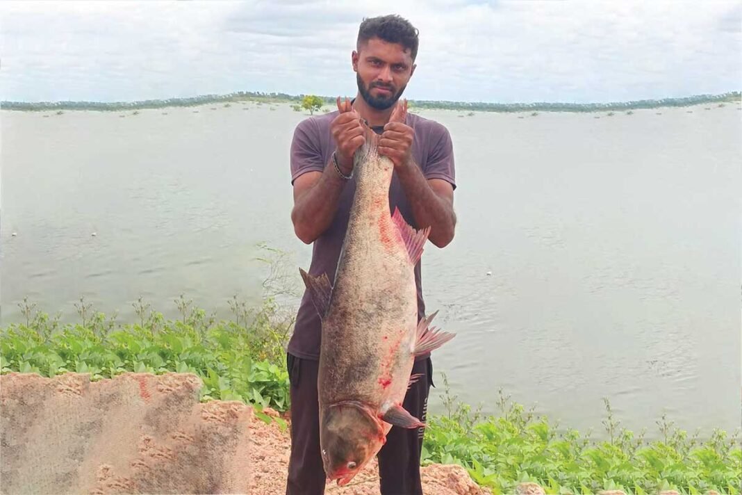 Sidlaghatta 18 kg Fish Belluti lake