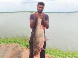 Sidlaghatta 18 kg Fish Belluti lake