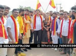 Sidlaghatta Karnataka Rakshana Vedike Kannada Rajyotsava