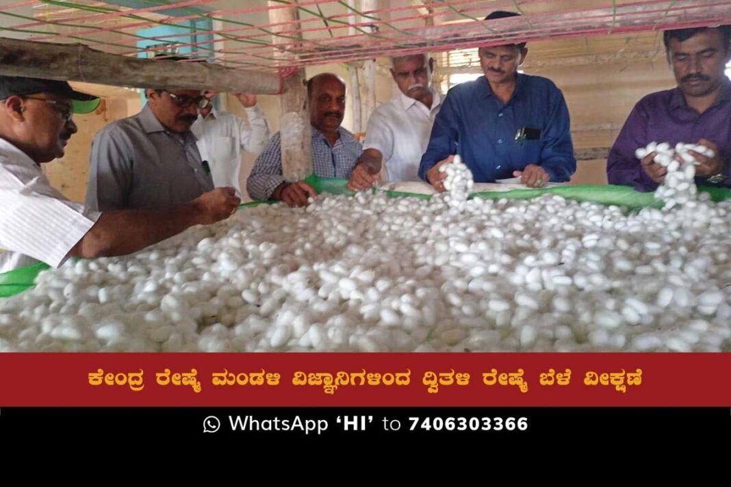 BiVoltine Silk Cocoon Farming Information