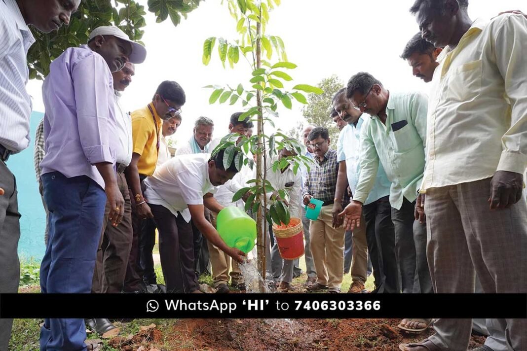 Sidlaghatta Sasya Shyamala Tree Planting