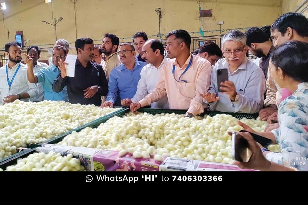 Central Silk Board Officials Visit Sidlaghatta silk Cocoon Market