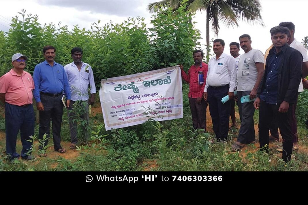 Sidlaghatta Hosapete Mulberry Crop Protection