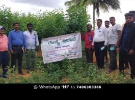 Sidlaghatta Hosapete Mulberry Crop Protection