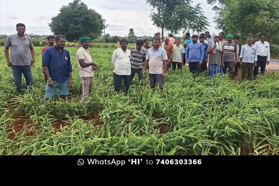 Sidlaghatta Farmers Protest Land Government Industry