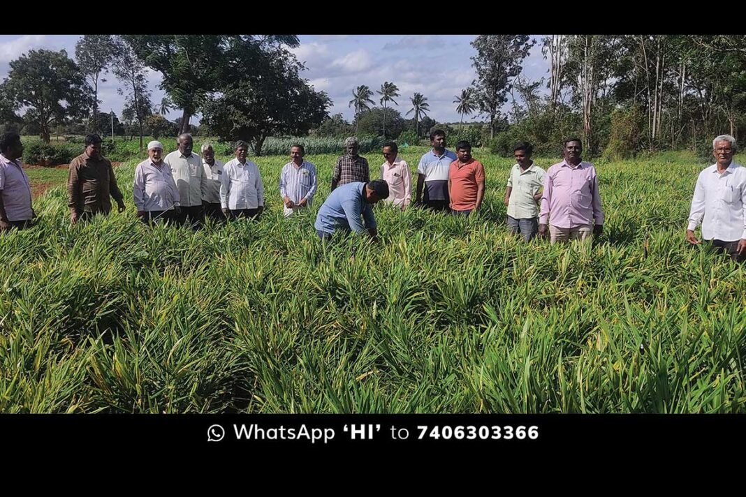 Sidlaghatta Farmers Press Meet against Dr. M C Sudhakar