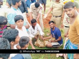 Sidlaghatta Handiganala Black Buck Rescue