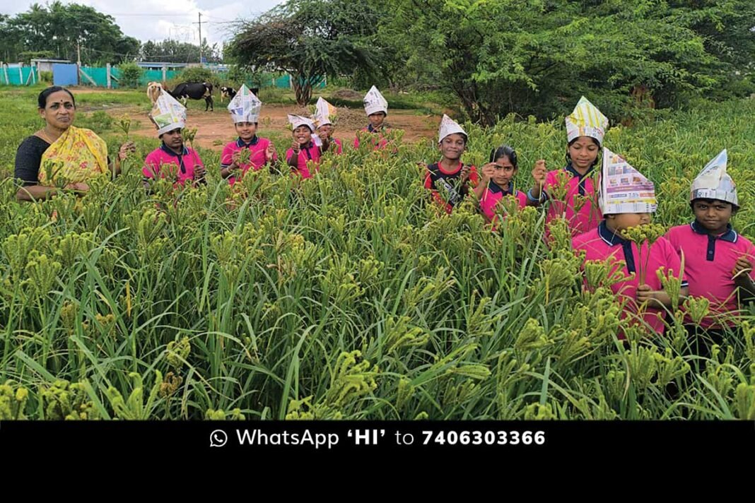 Sidlaghatta Kachahalli School Children Bagless Day in Ragi Field