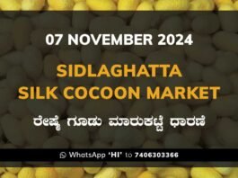 Sidlaghatta Silk Cocoon Market Price Rate ಶಿಡ್ಲಘಟ್ಟ ರೇಷ್ಮೆ ಗೂಡು ಮಾರುಕಟ್ಟೆ ಧಾರಣೆ