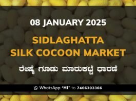 Sidlaghatta Silk Cocoon Market Price Rate ಶಿಡ್ಲಘಟ್ಟ ರೇಷ್ಮೆ ಗೂಡು ಮಾರುಕಟ್ಟೆ ಧಾರಣೆ