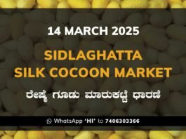 Sidlaghatta Silk Cocoon Market Price Rate ಶಿಡ್ಲಘಟ್ಟ ರೇಷ್ಮೆ ಗೂಡು ಮಾರುಕಟ್ಟೆ ಧಾರಣೆ