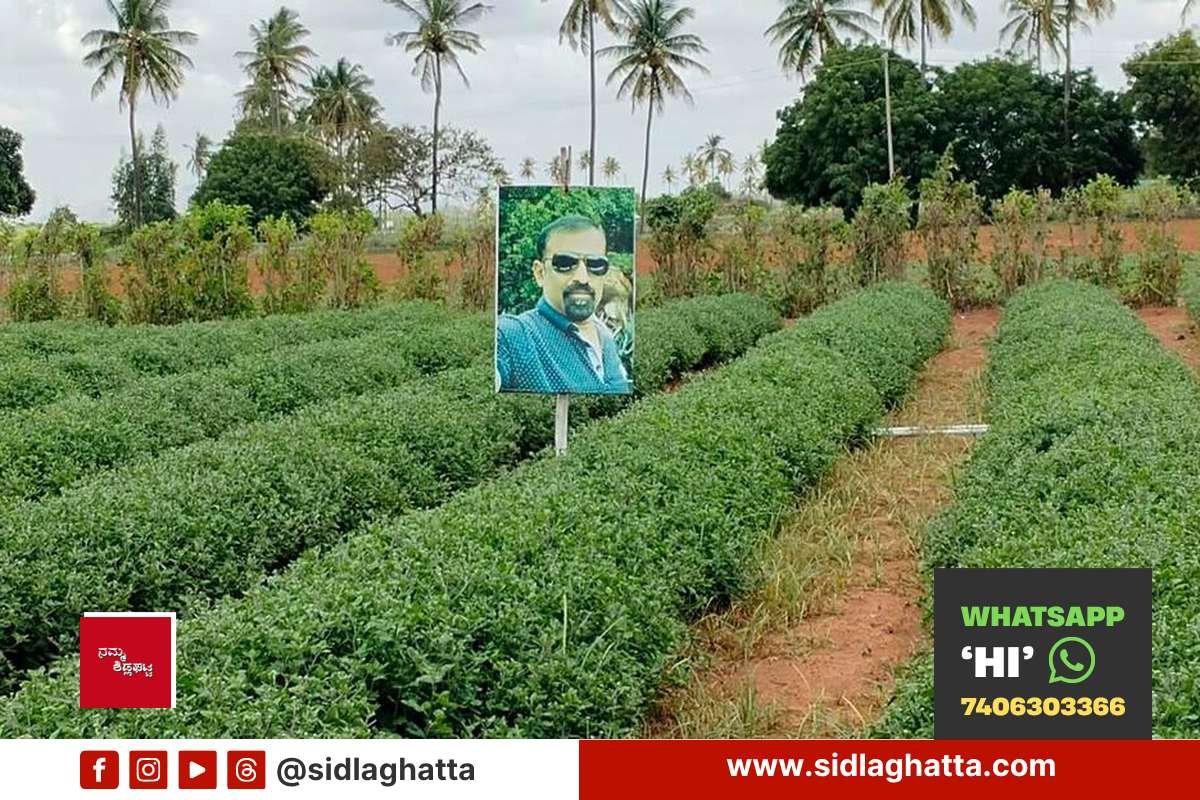 Farmer Krishnamurthy Own Photo Scarecrow Malamachanahalli