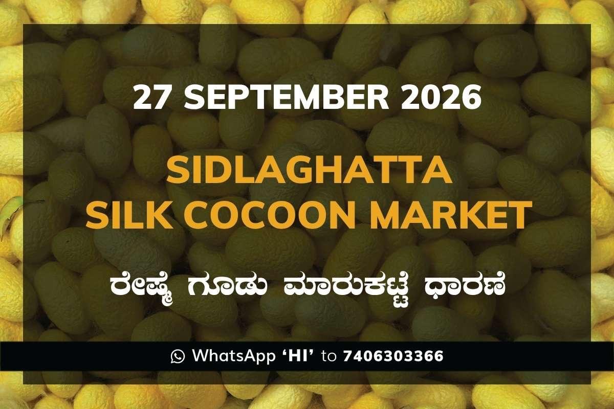 Sidlaghatta Silk Cocoon Market rates 27 September 2026