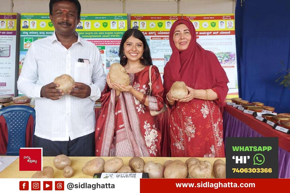 Appegowdanahalli farmer Tyagaraj shows vine potato at Farmers Dasara Mysuru exhibition